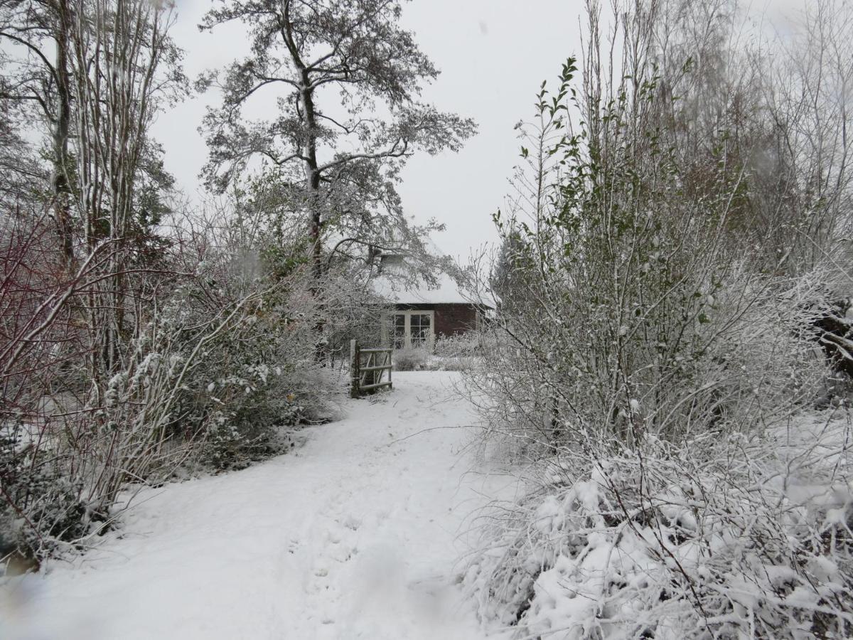Uylkenshof Safaritenten En Natuurhuisjes 에페 외부 사진