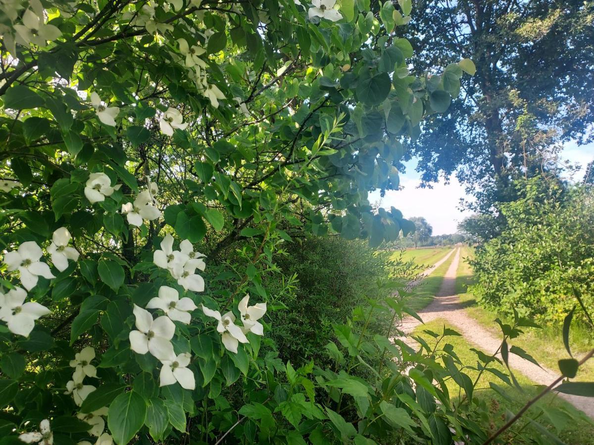 Uylkenshof Safaritenten En Natuurhuisjes 에페 외부 사진