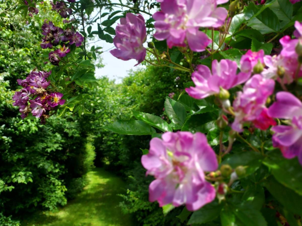 Uylkenshof Safaritenten En Natuurhuisjes 에페 외부 사진