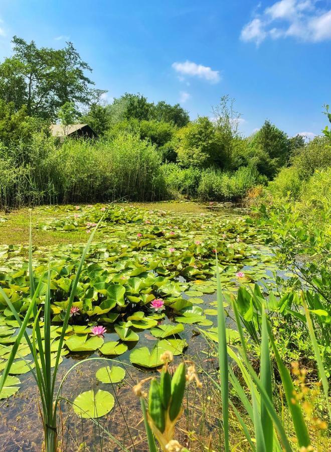 Uylkenshof Safaritenten En Natuurhuisjes 에페 외부 사진