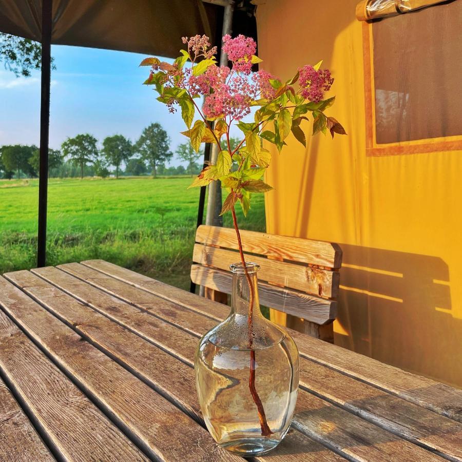 Uylkenshof Safaritenten En Natuurhuisjes 에페 외부 사진